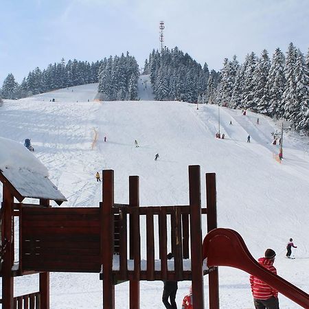Pinewood Valley Oasis Vyšné Ružbachy エクステリア 写真